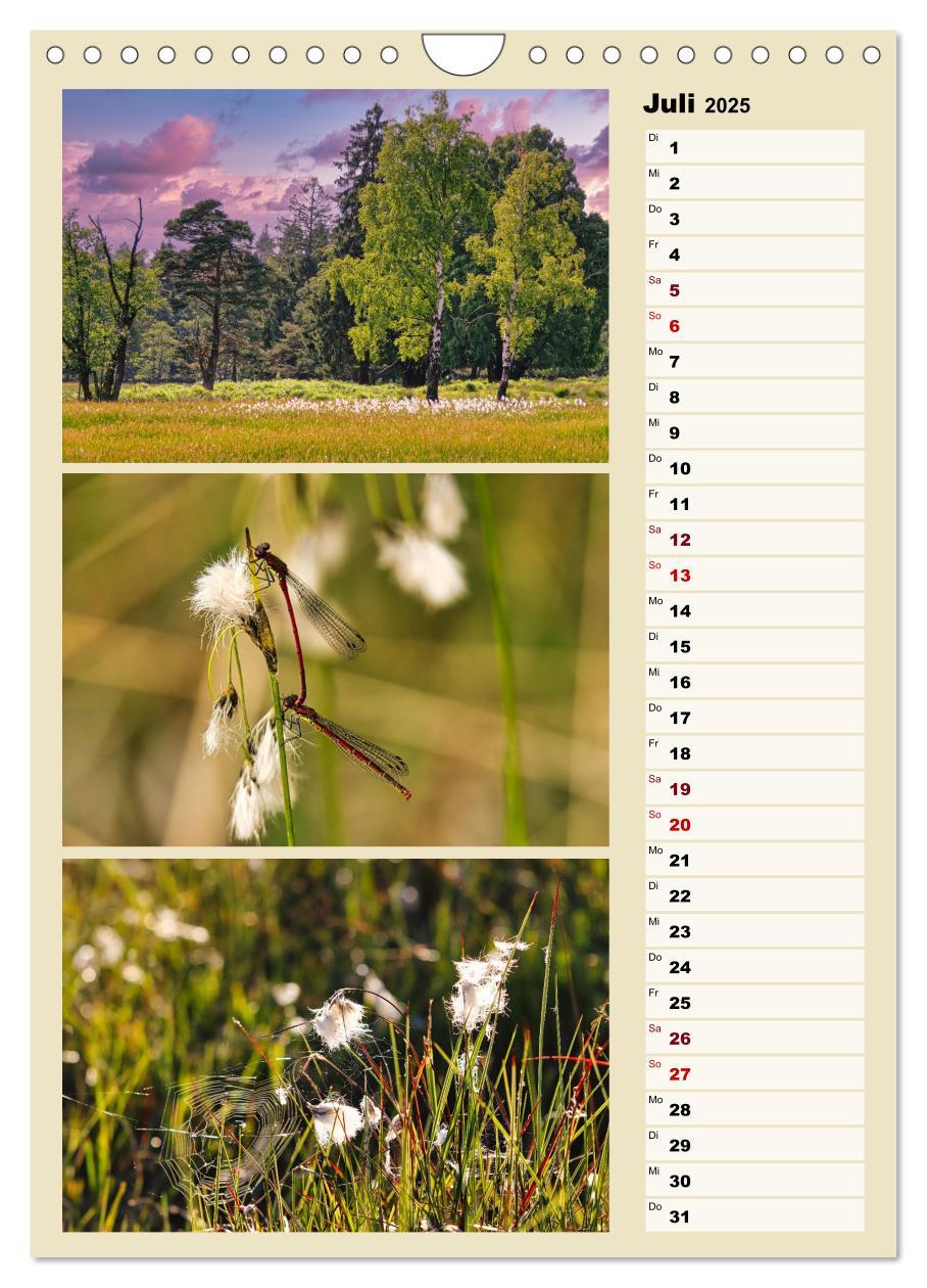 Bild: 9783457146224 | Harmonie der Farben in Landschaft und Natur (Wandkalender 2025 DIN...