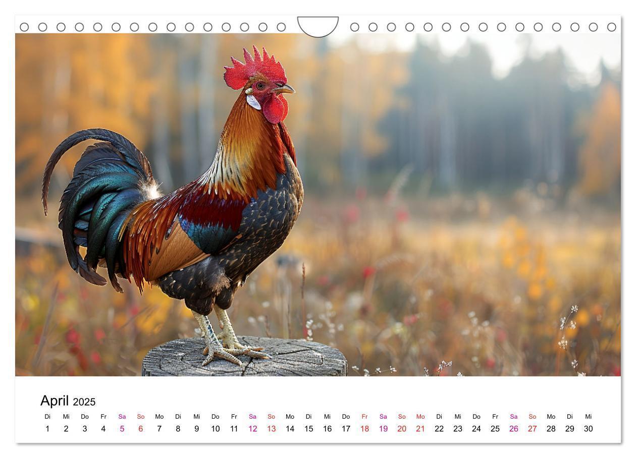 Bild: 9783457174890 | Hühner Federvieh (Wandkalender 2025 DIN A4 quer), CALVENDO...