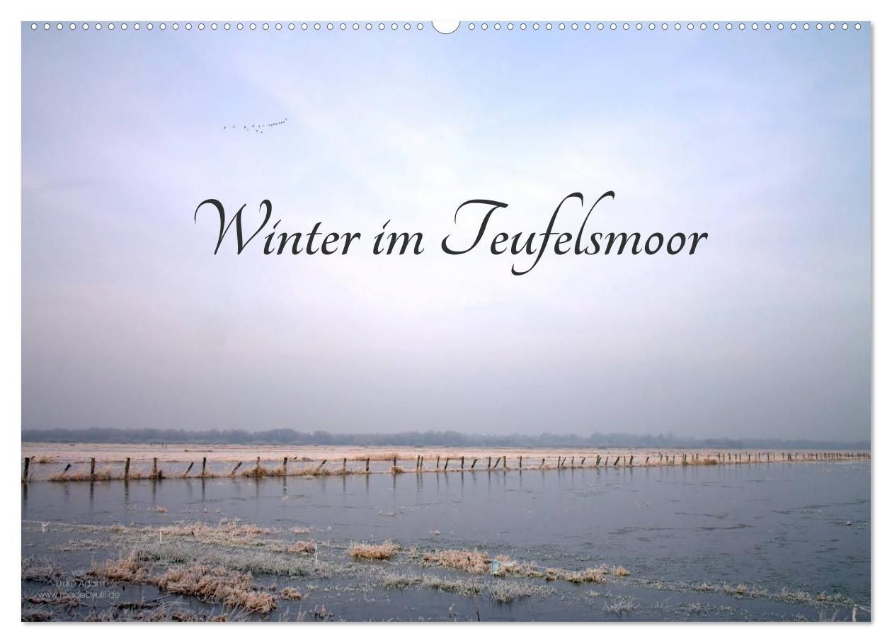 Cover: 9783435492497 | Winter im Teufelsmoor (Wandkalender 2025 DIN A2 quer), CALVENDO...