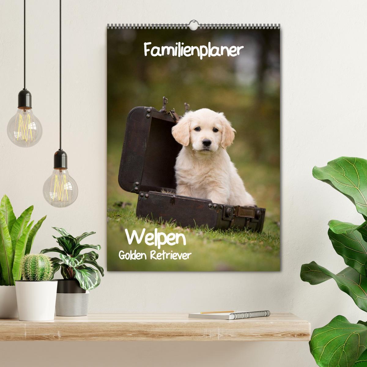 Bild: 9783457087718 | Familienplaner: Golden Retriever Welpen (Wandkalender 2025 DIN A2...