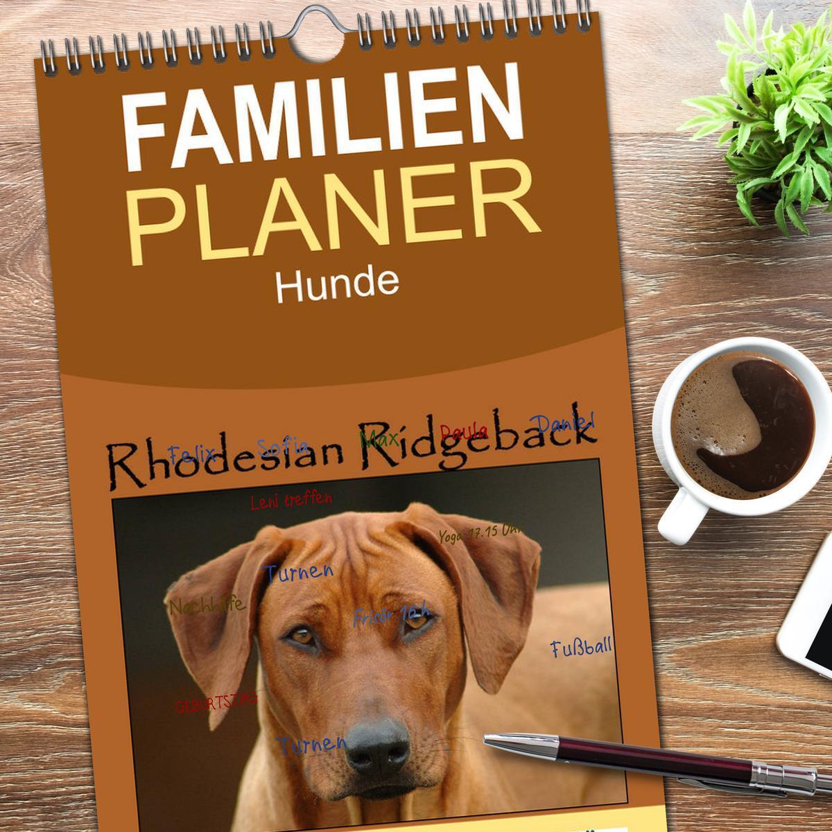 Bild: 9783457106792 | Familienplaner 2025 - Rhodesian Ridgeback Terminkalender mit 5...