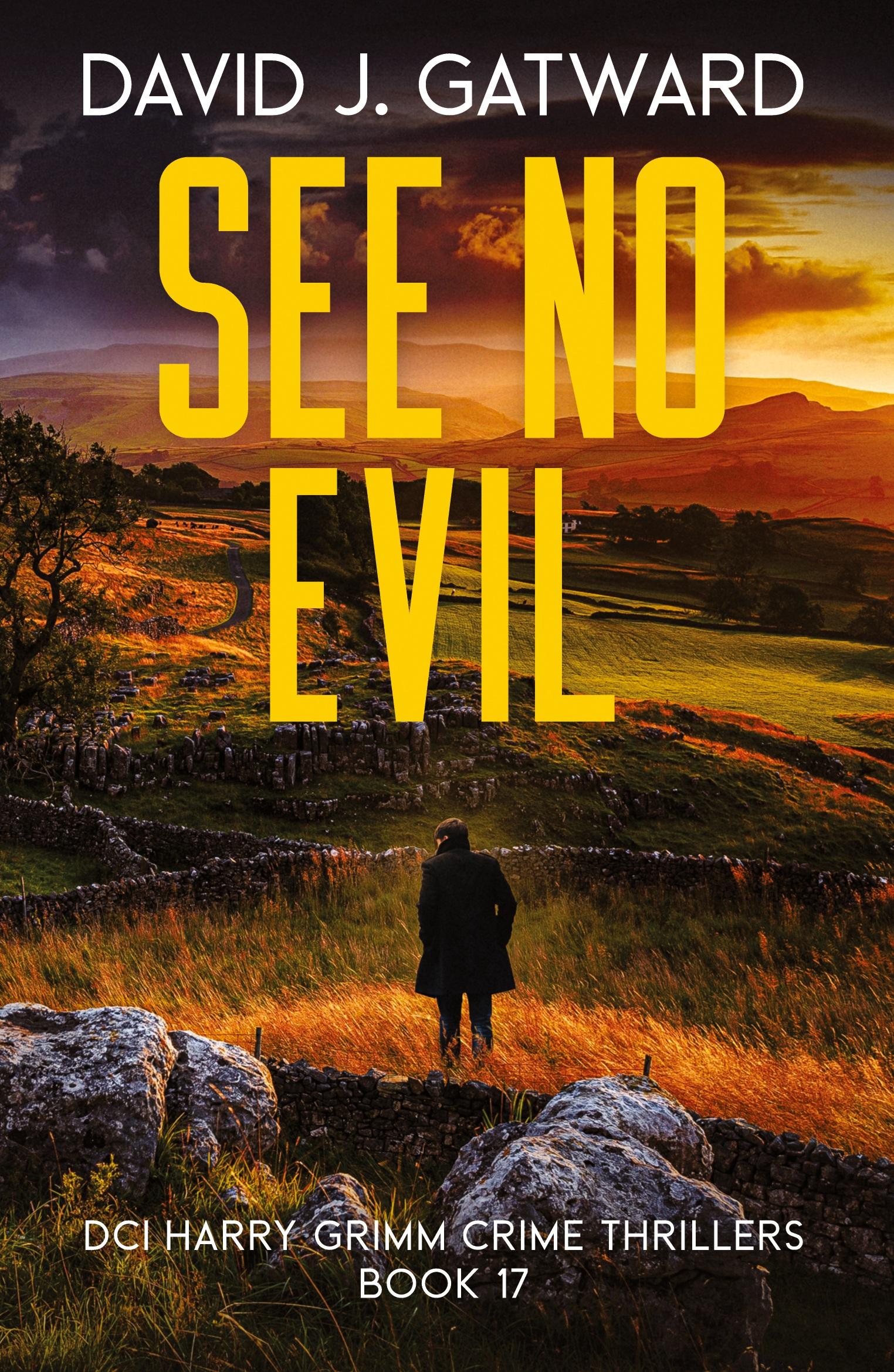 Cover: 9781917001168 | See No Evil | A Yorkshire Murder Mystery | David J. Gatward | Buch