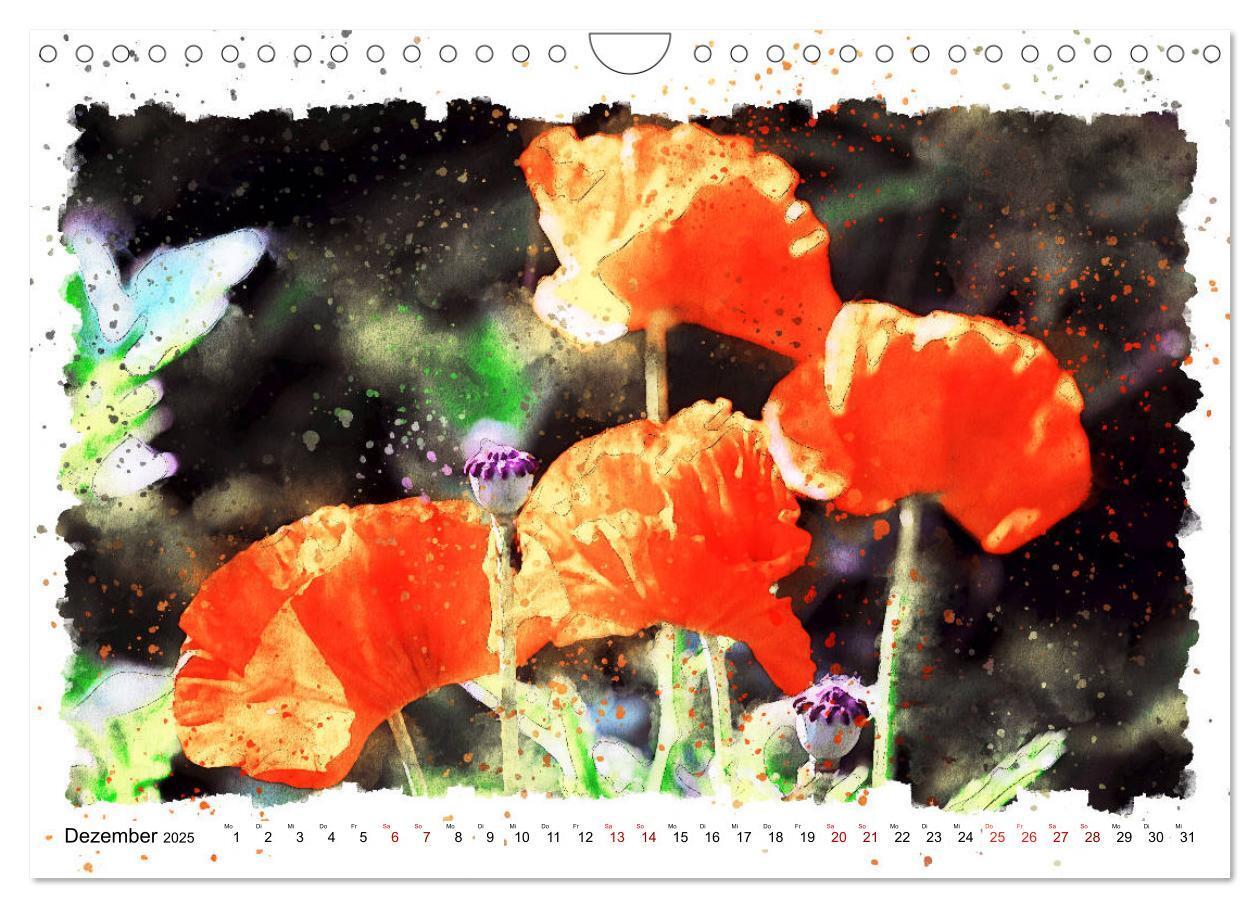 Bild: 9783435141241 | Mohnblüten in Aquarell (Wandkalender 2025 DIN A4 quer), CALVENDO...