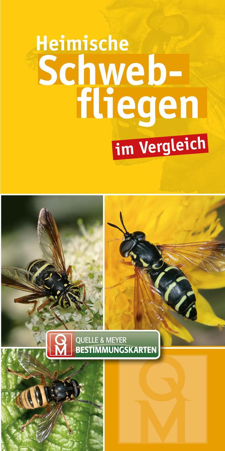 Cover: 9783494017754 | Heimische Schwebfliegen | im Vergleich | Quelle &amp; Meyer Verlag | Stück