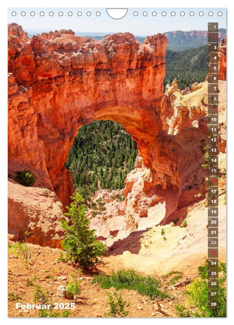 Bild: 9783435973507 | BRYCE CANYON Natur Pur (Wandkalender 2025 DIN A4 hoch), CALVENDO...