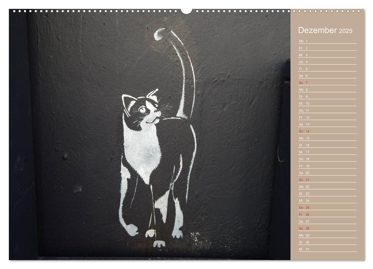 Bild: 9783435289691 | Flensburger Katzen (Wandkalender 2025 DIN A2 quer), CALVENDO...