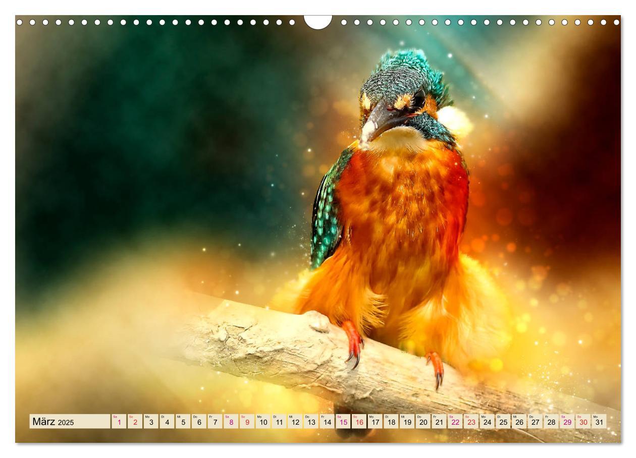 Bild: 9783435333684 | Wunderschöner Eisvogel (Wandkalender 2025 DIN A3 quer), CALVENDO...