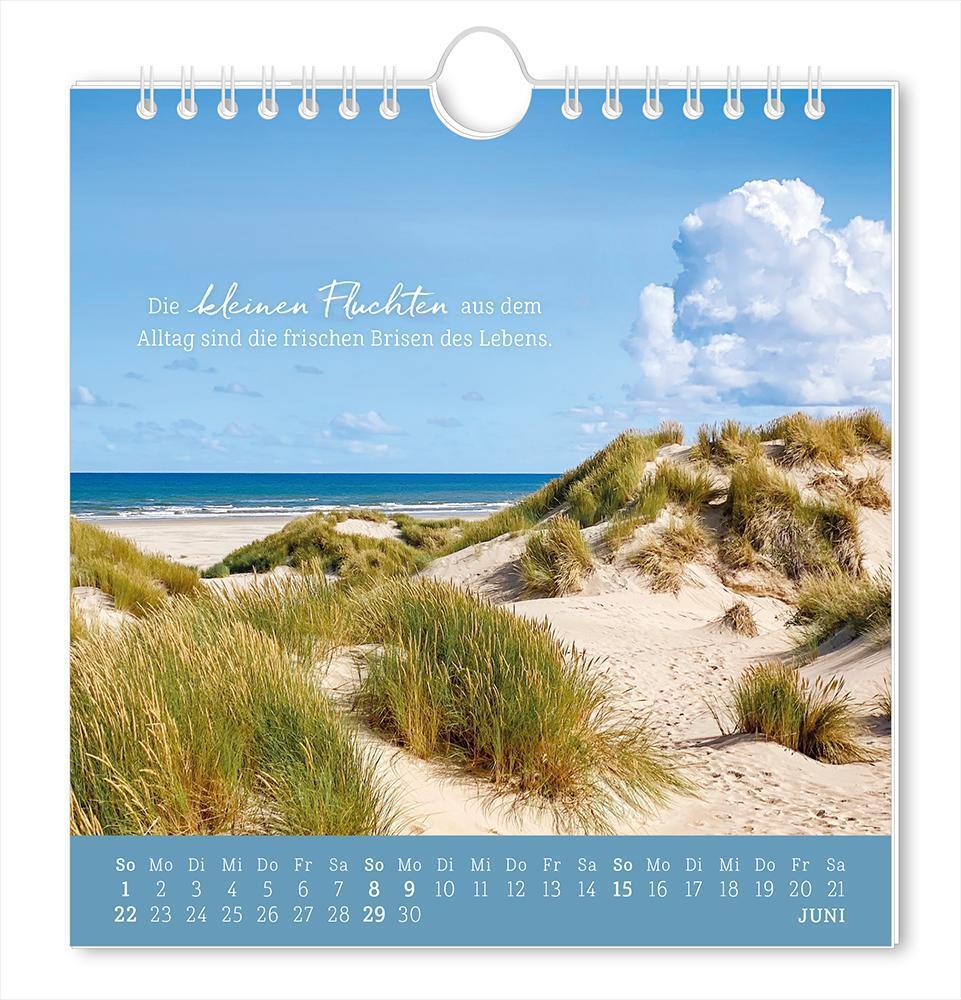 Bild: 9783986361167 | Postkartenkalender 2025 Strandgut | Postkartenkalender | Original