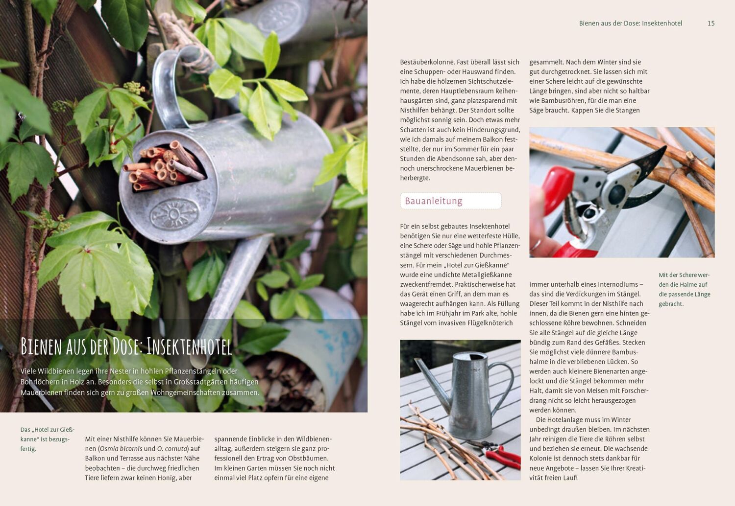 Bild: 9783818613655 | Heimische Pflanzen für den Garten | Elke Schwarzer | Taschenbuch