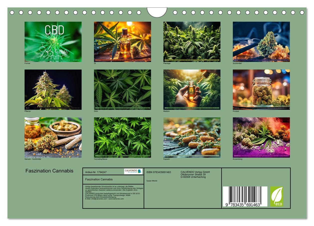 Bild: 9783435691463 | Faszination Cannabis (Wandkalender 2025 DIN A4 quer), CALVENDO...