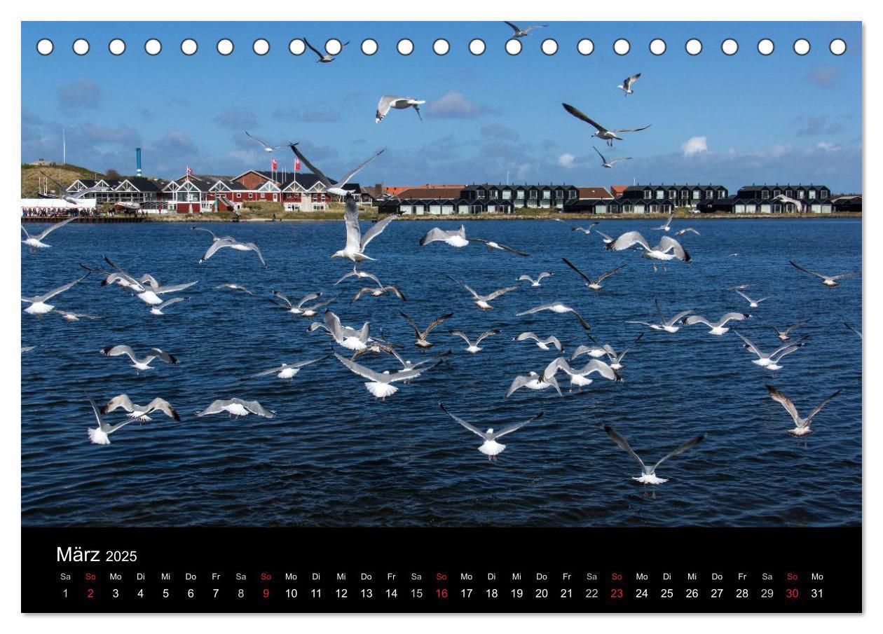 Bild: 9783435607495 | Dänemark - Umgebung von Hvide Sande (Tischkalender 2025 DIN A5...