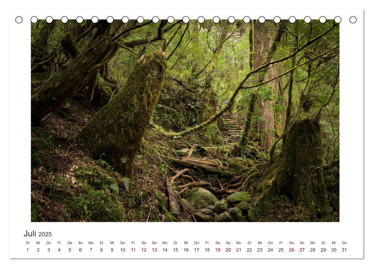 Bild: 9783435343799 | Yakushima - Japans Weltnaturerbe (Tischkalender 2025 DIN A5 quer),...