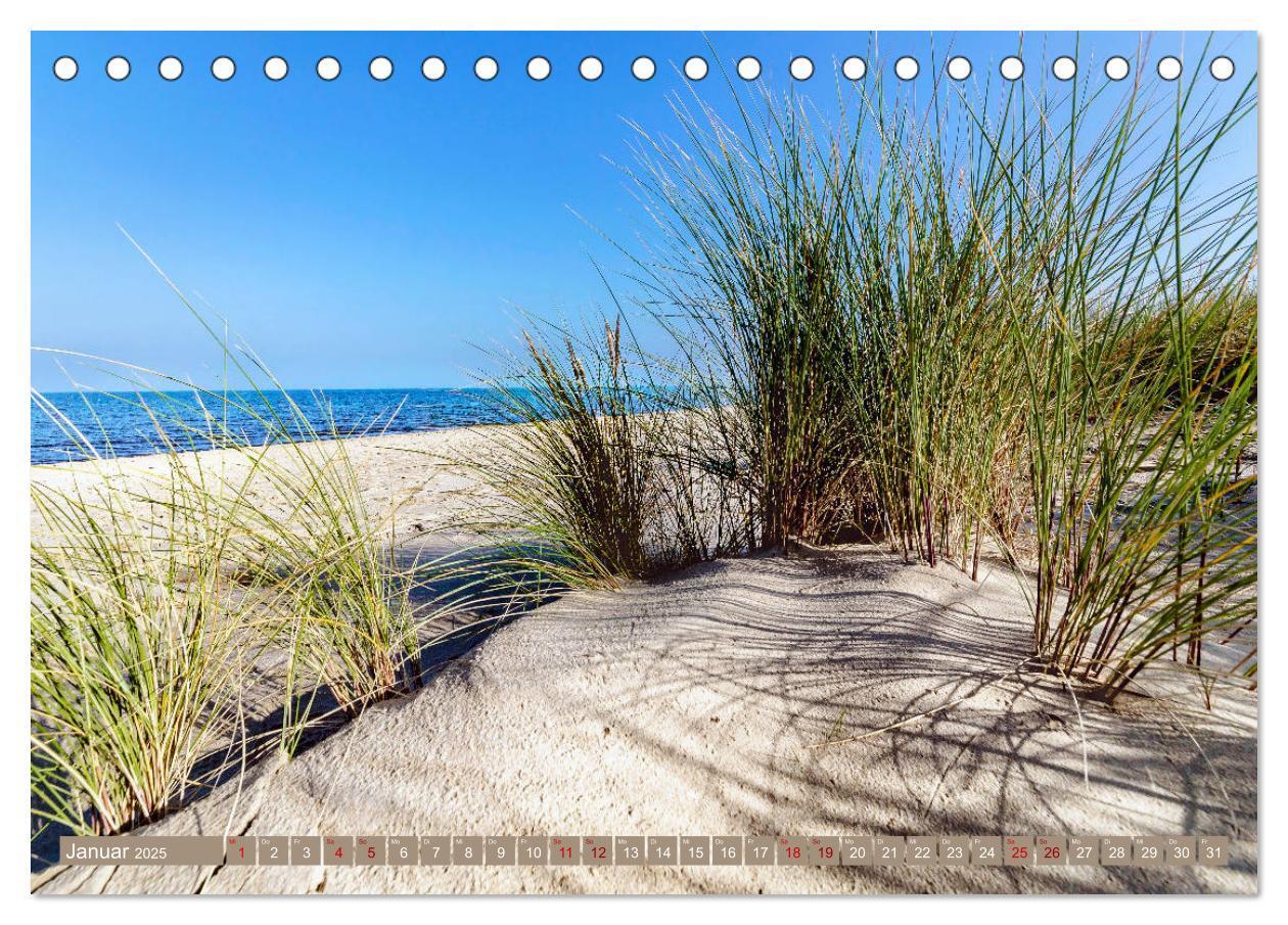 Bild: 9783435053551 | Inselliebe Langeoog (Tischkalender 2025 DIN A5 quer), CALVENDO...