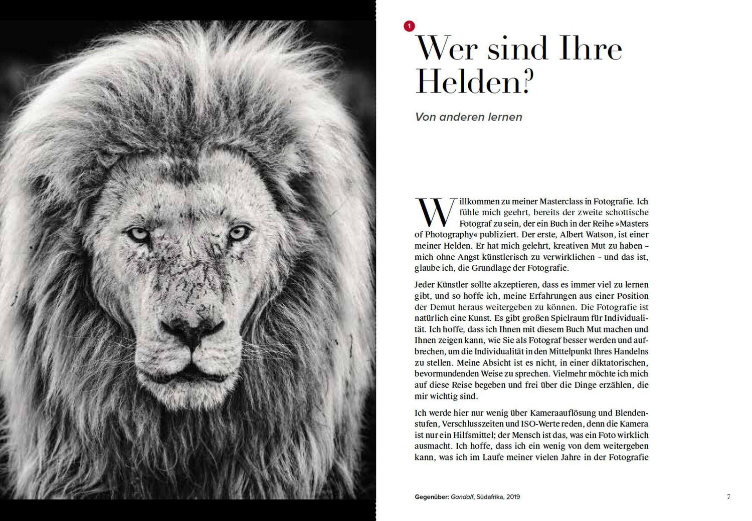 Bild: 9783038762140 | Wie ich Fotos mache | Masters of Photography | David Yarrow | Buch