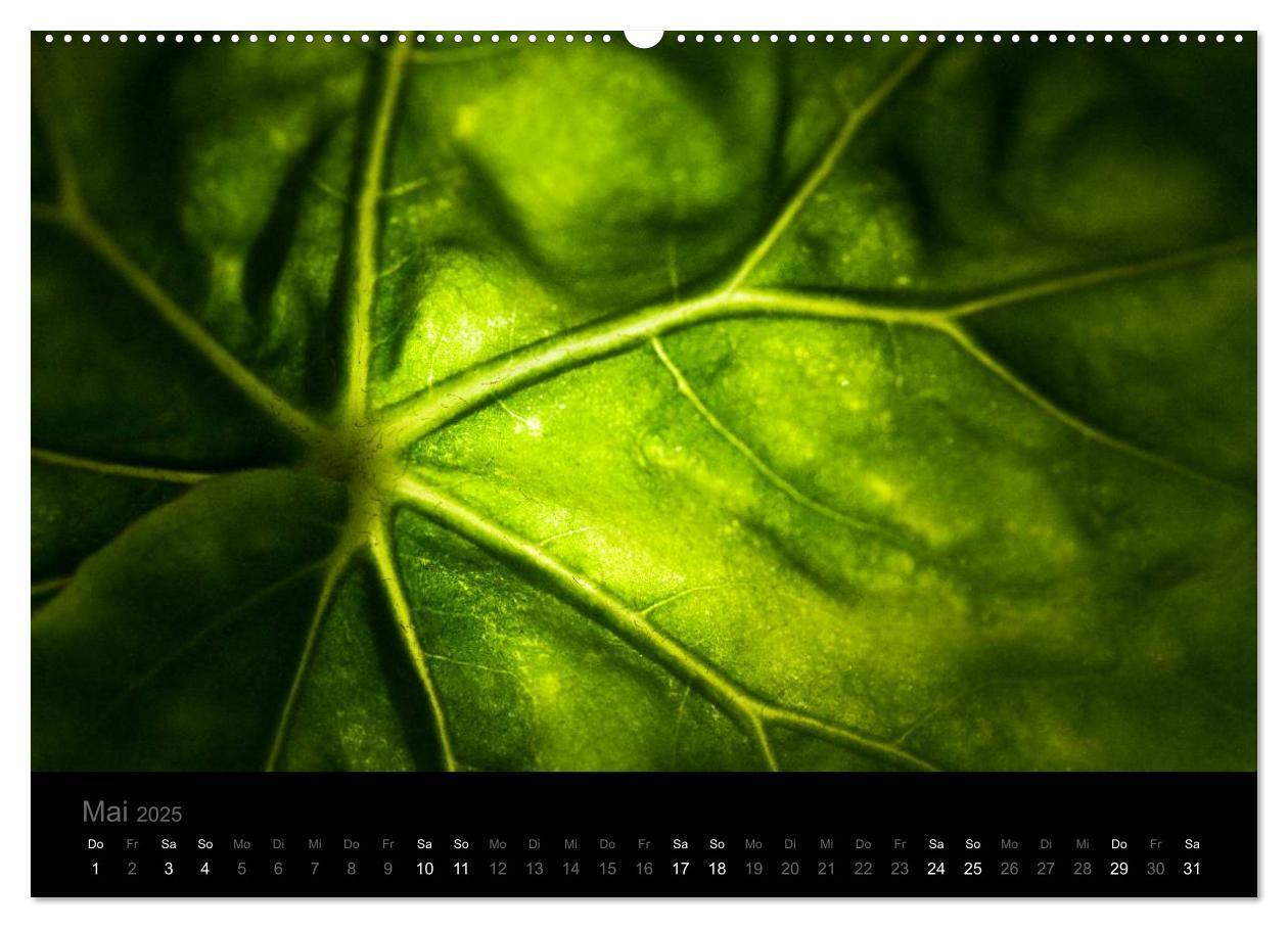 Bild: 9783435798087 | Natur im Detail (hochwertiger Premium Wandkalender 2025 DIN A2...