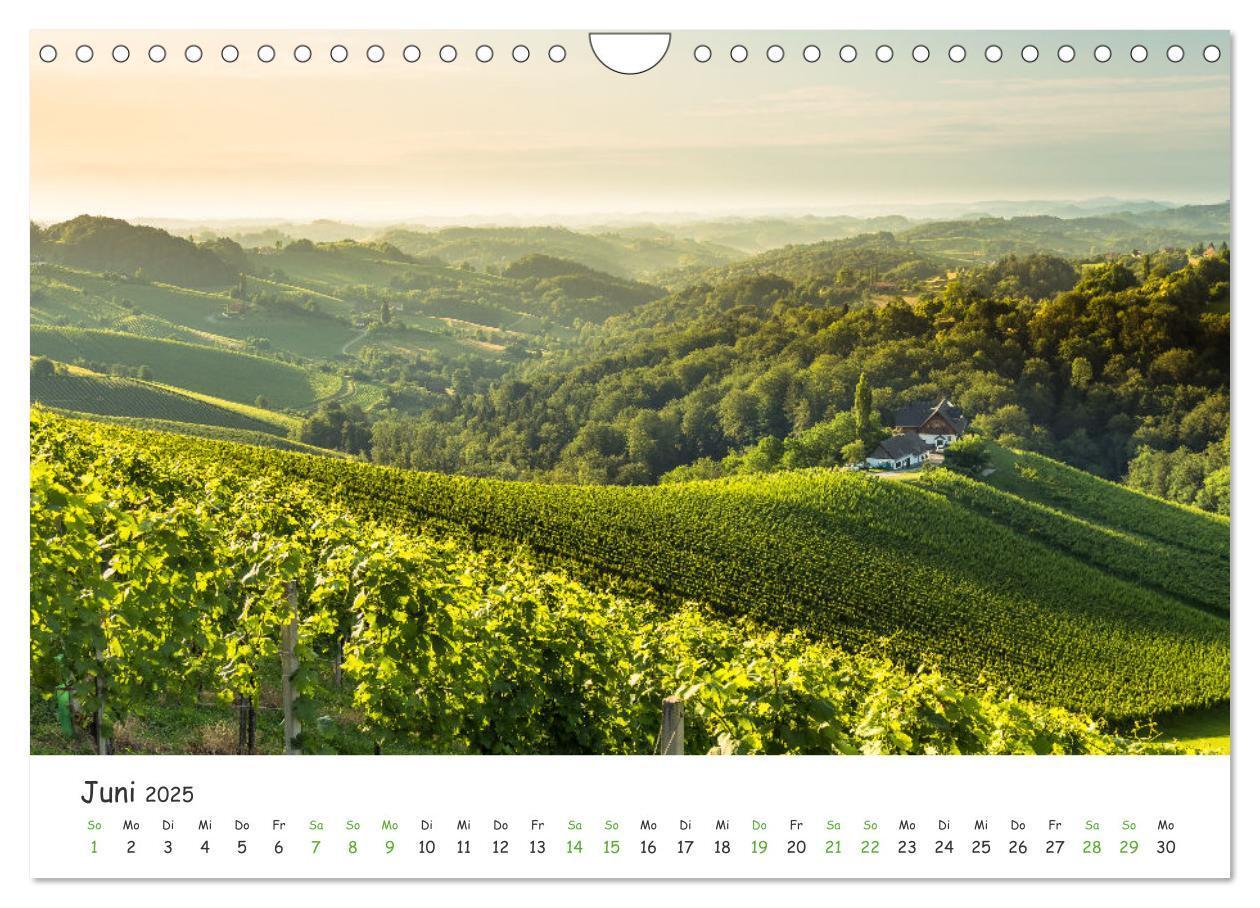 Bild: 9783435042357 | Südsteiermark365 (Wandkalender 2025 DIN A4 quer), CALVENDO...