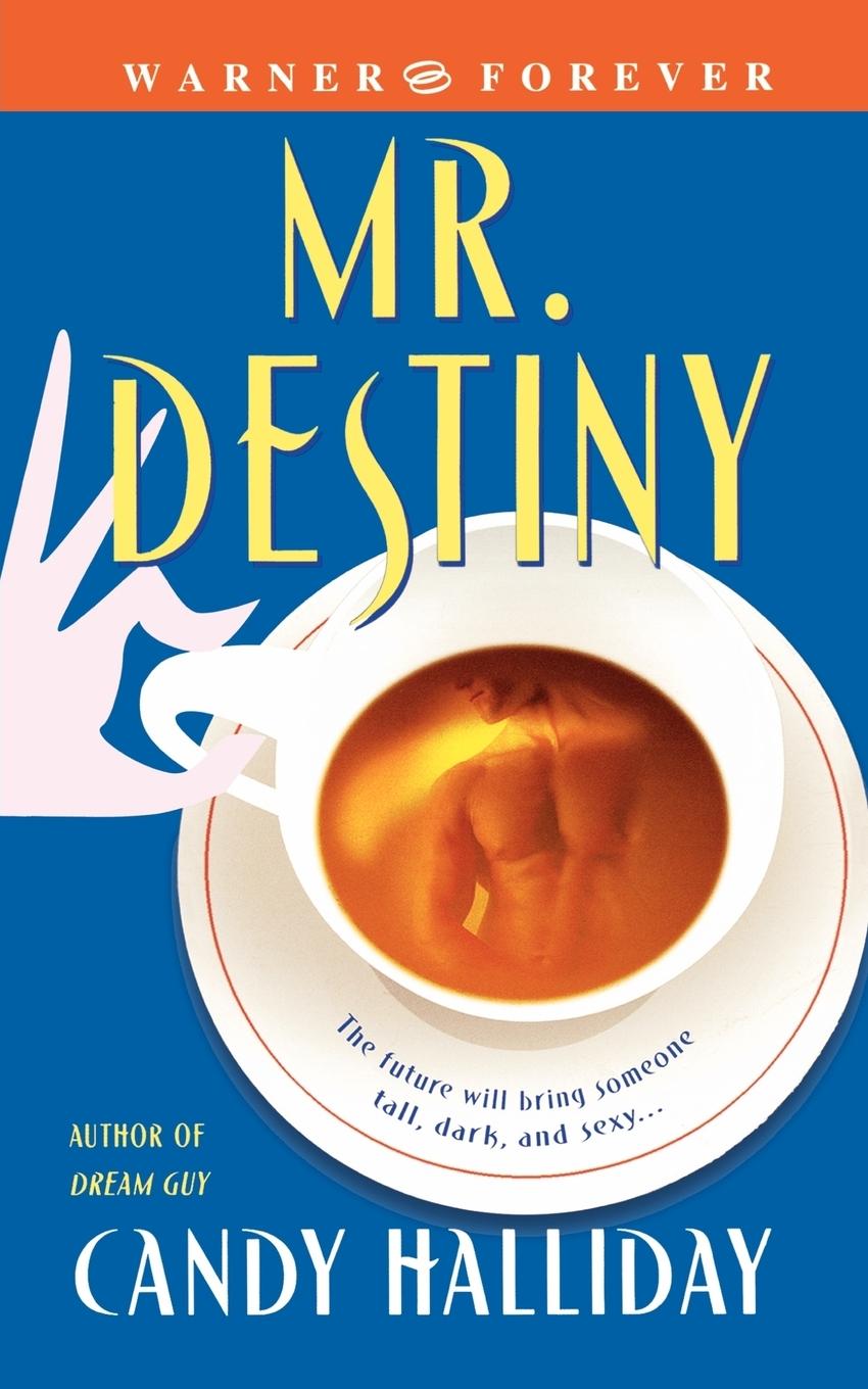 Cover: 9780446614566 | Mr. Destiny | Candy Halliday | Taschenbuch | Paperback | Englisch