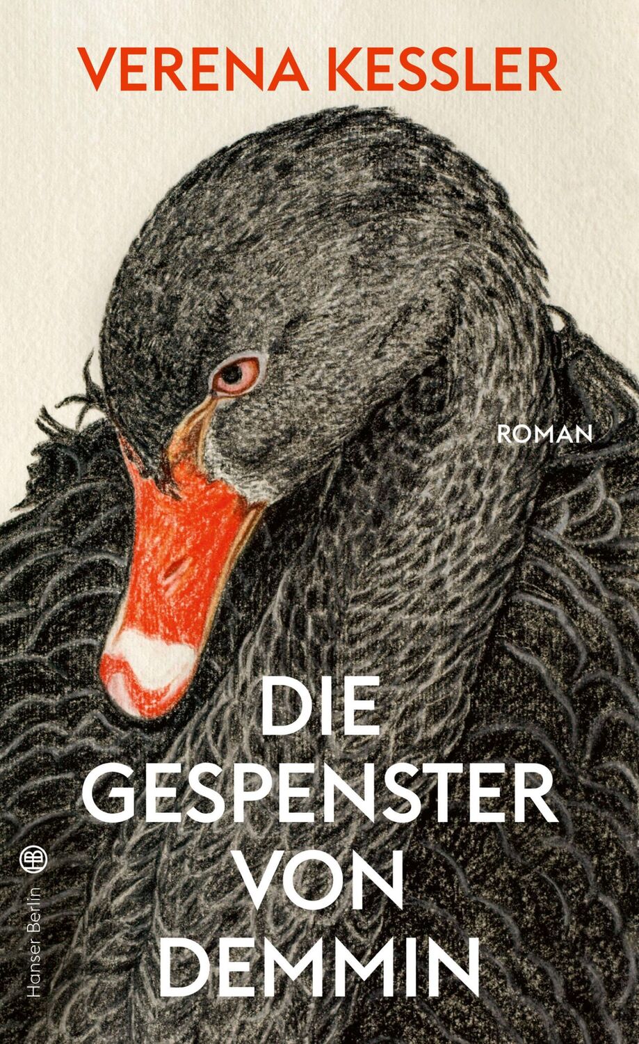 Cover: 9783446267848 | Die Gespenster von Demmin | Verena Keßler | Buch | 240 S. | Deutsch