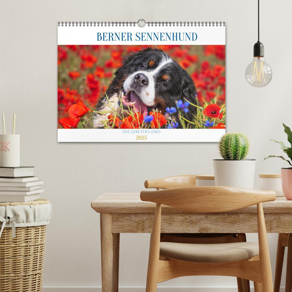 Bild: 9783383924972 | Berner Sennenhund - Eine Liebe für´s Leben (Wandkalender 2025 DIN...