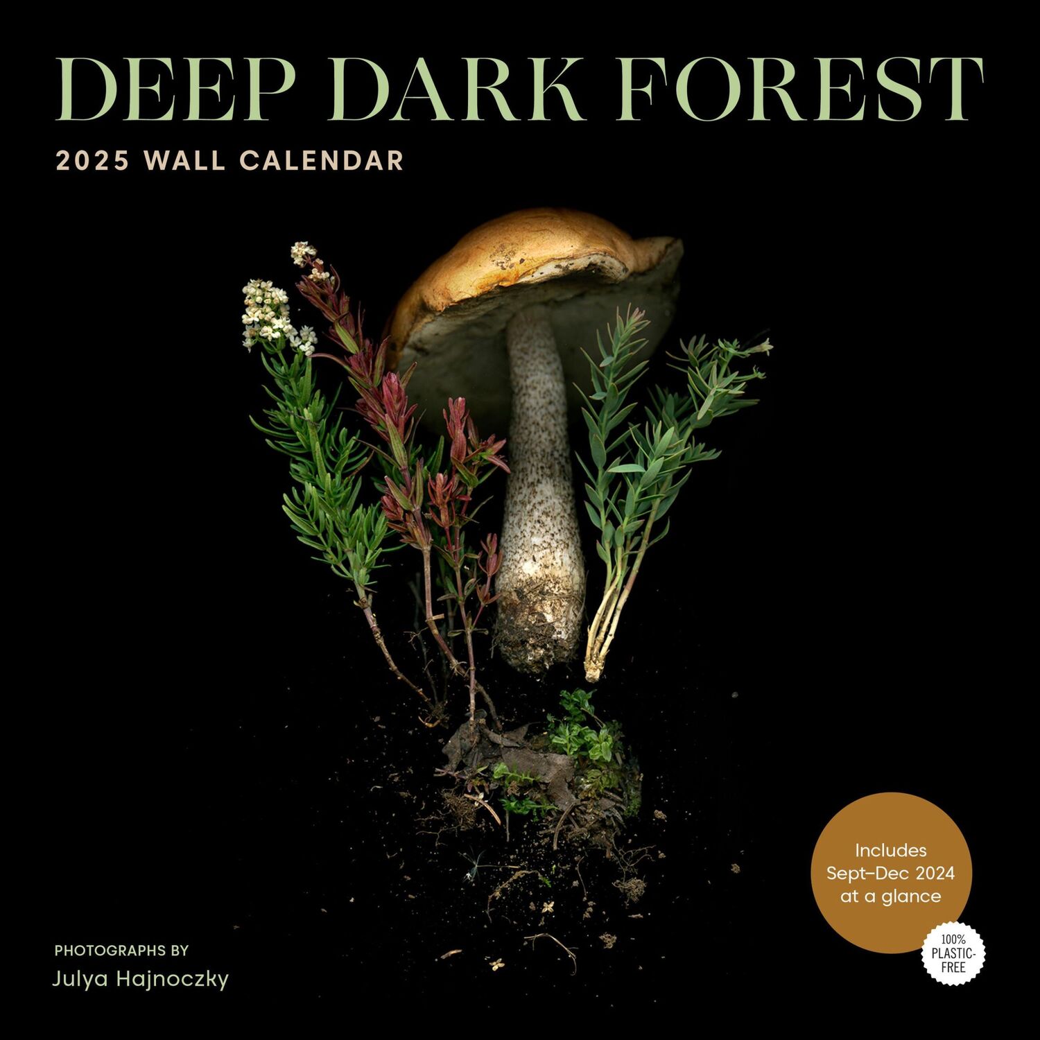 Cover: 9781797229607 | Deep Dark Forest 2025 Wall Calendar | Julya Hajnoczky | Kalender