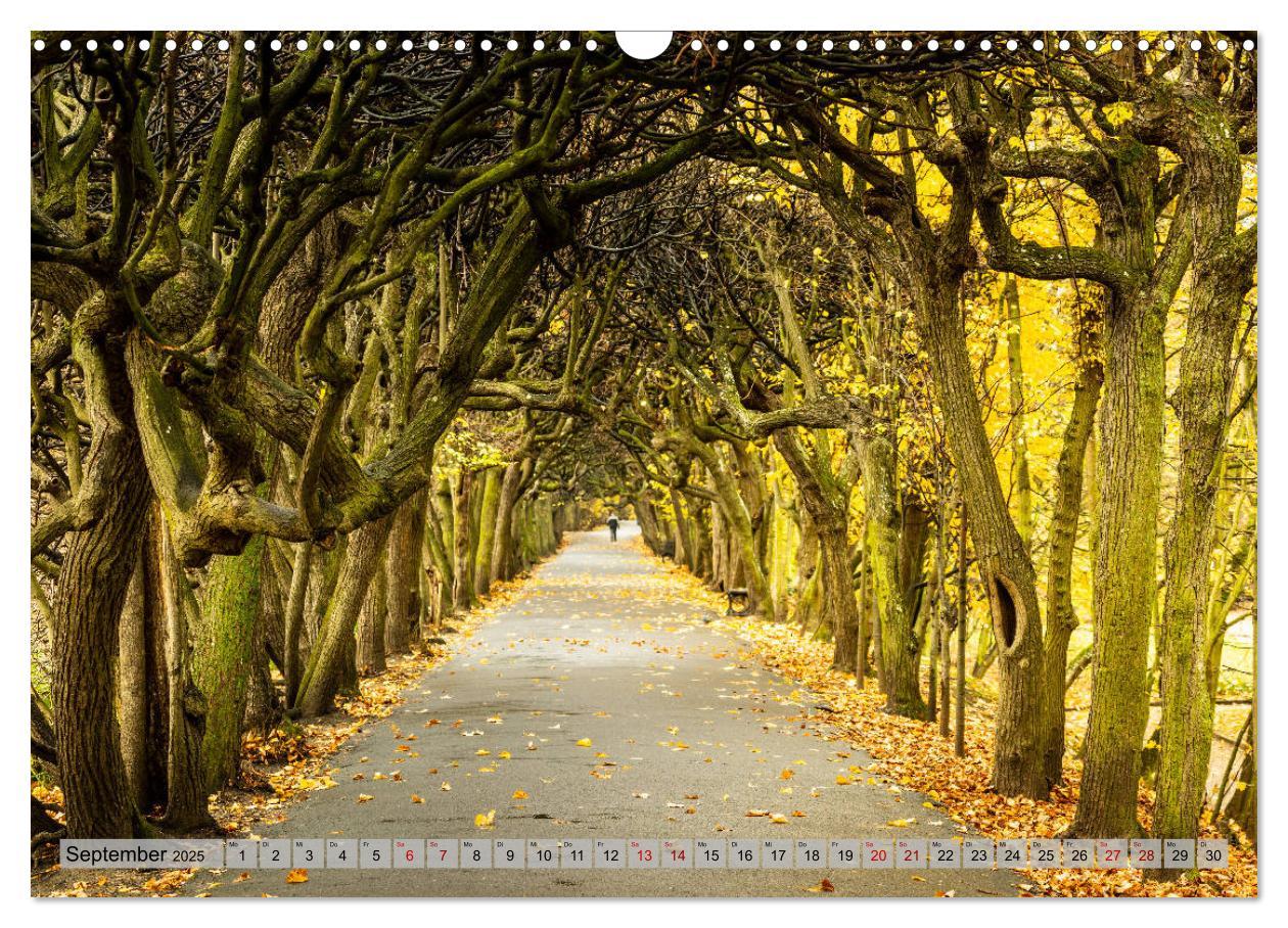 Bild: 9783435250745 | Dreistadt - Danzig, Gdingen, Zoppot (Wandkalender 2025 DIN A3...