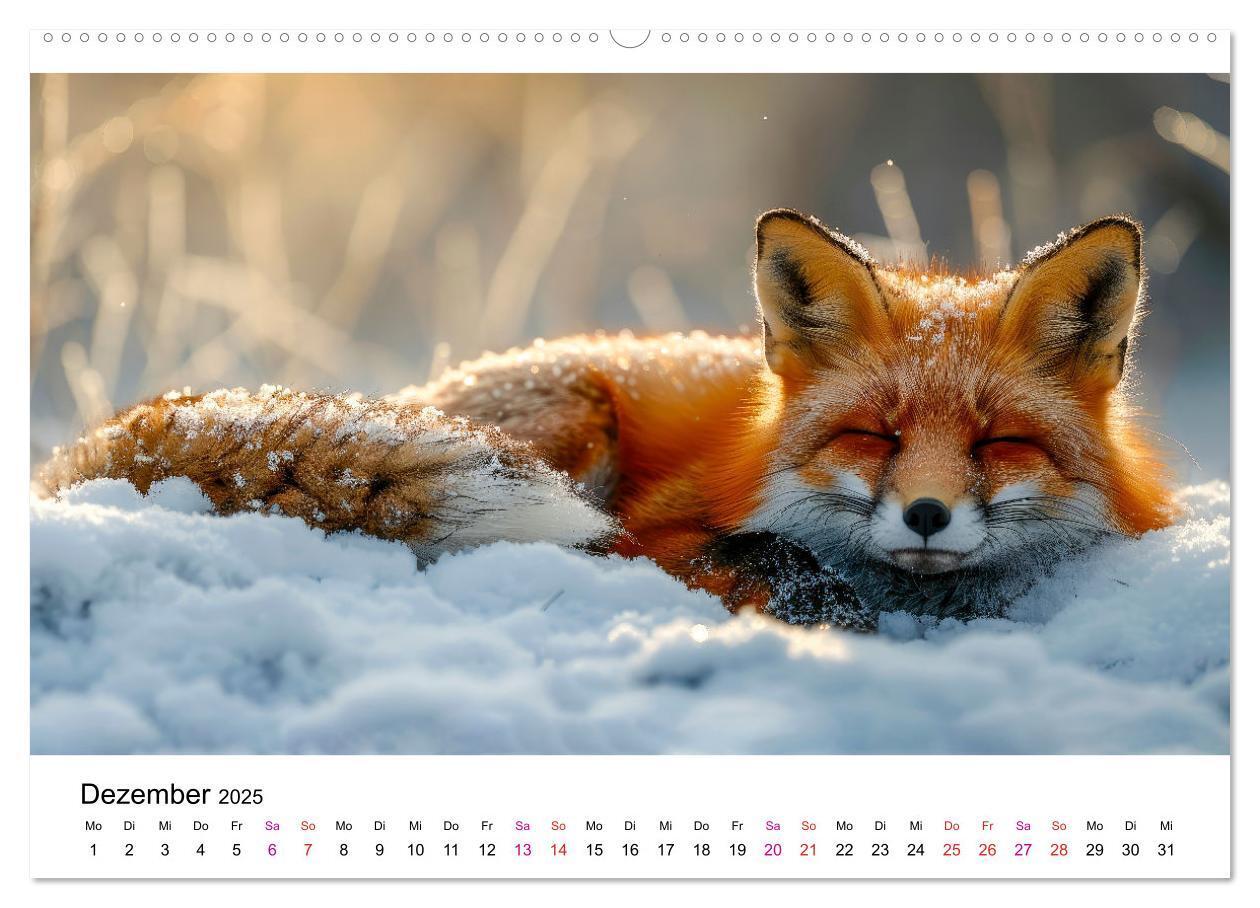 Bild: 9783383815225 | Fuchs - schöne Momente (Wandkalender 2025 DIN A2 quer), CALVENDO...