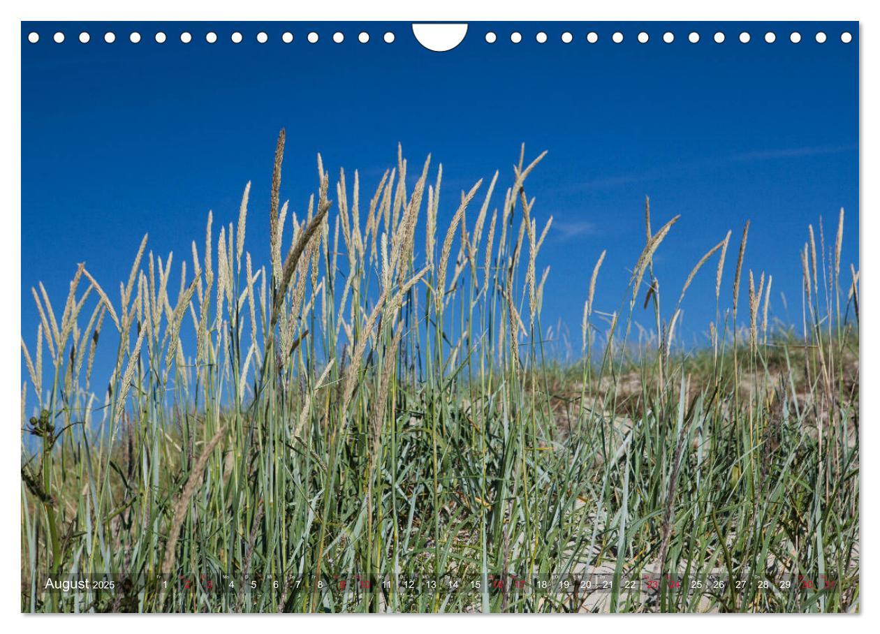 Bild: 9783435427918 | Sankt Peter-Ording. Sonne - Strand - Meer (Wandkalender 2025 DIN A4...