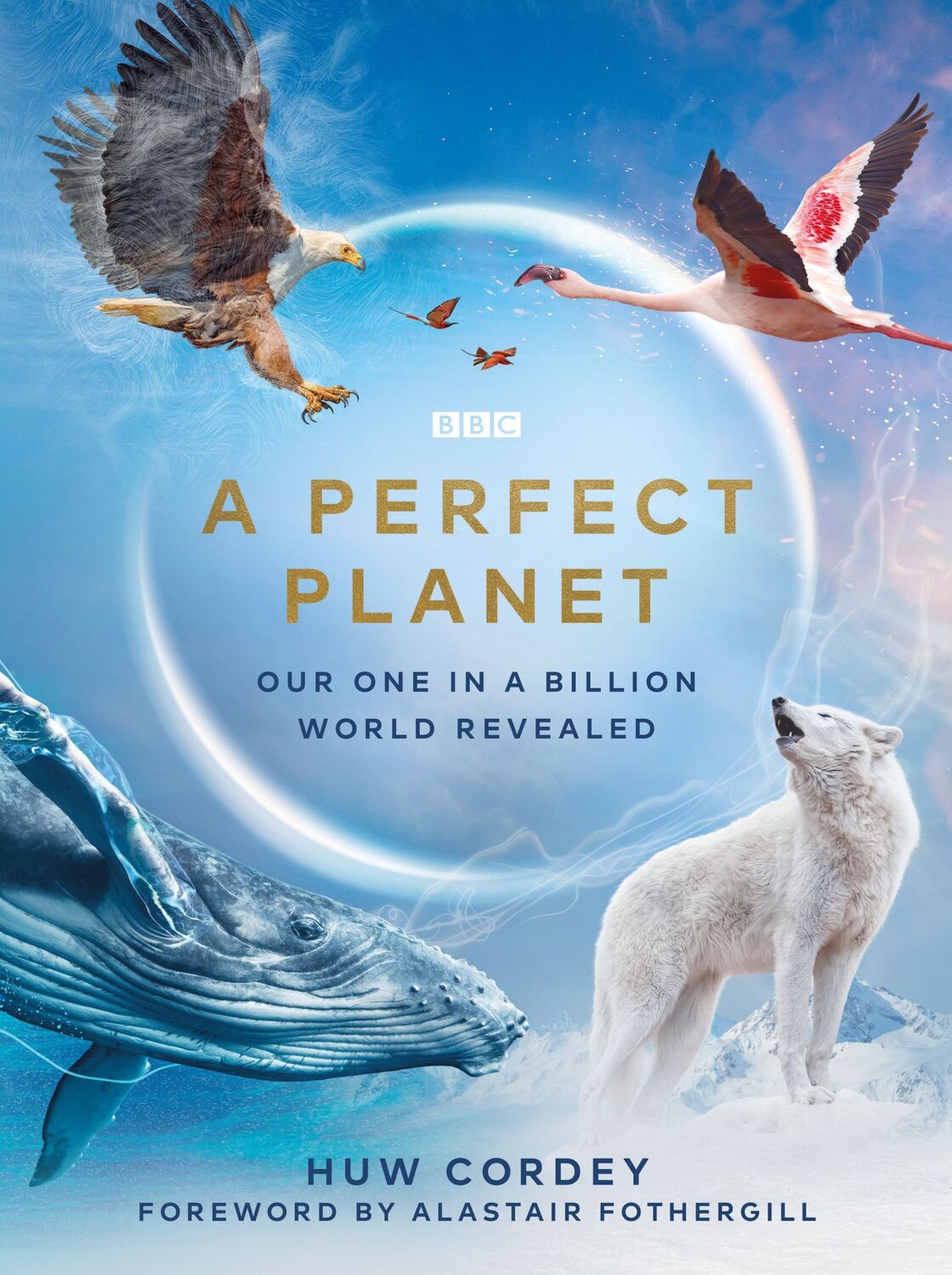 Cover: 9781785945298 | A Perfect Planet | Huw Cordey | Buch | Gebunden | Englisch | 2021