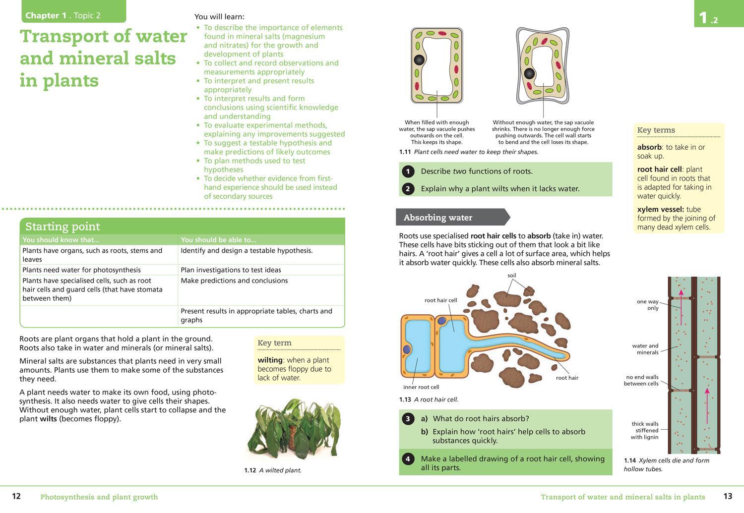 Bild: 9780008364274 | Collins Cambridge Lower Secondary Science - Lower Secondary Science...