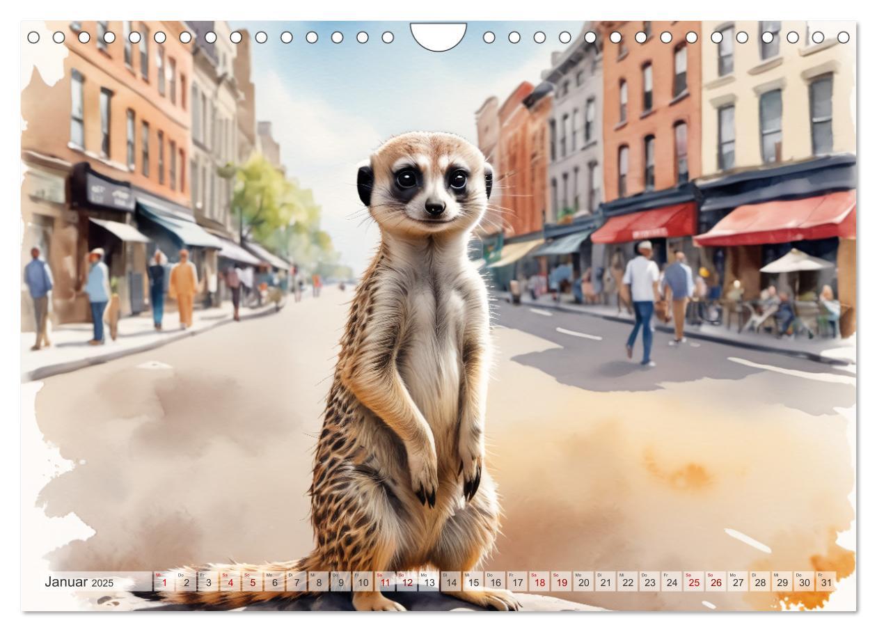 Bild: 9783383797880 | Erdmännchen in New York City (Wandkalender 2025 DIN A4 quer),...