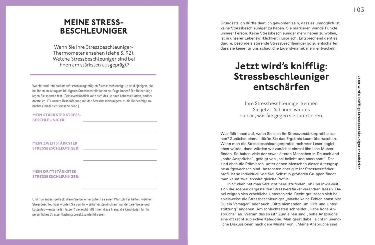 Bild: 9783747106464 | Stress positiv nutzen | Ganz locker auf der Stresswelle surfen | Buch