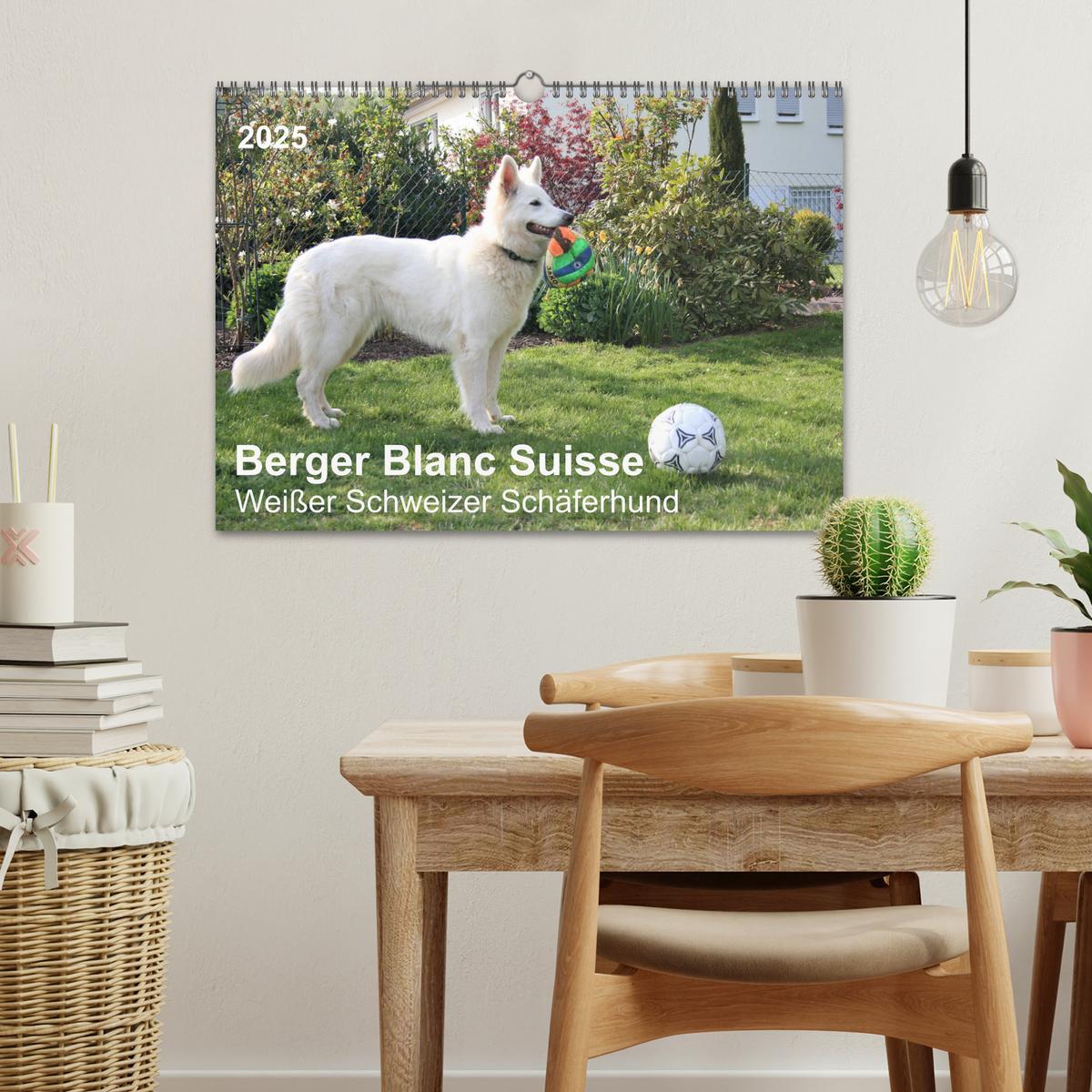 Bild: 9783435237180 | Berger Blanc Suisse - Weißer Schweizer Schäferhund (Wandkalender...