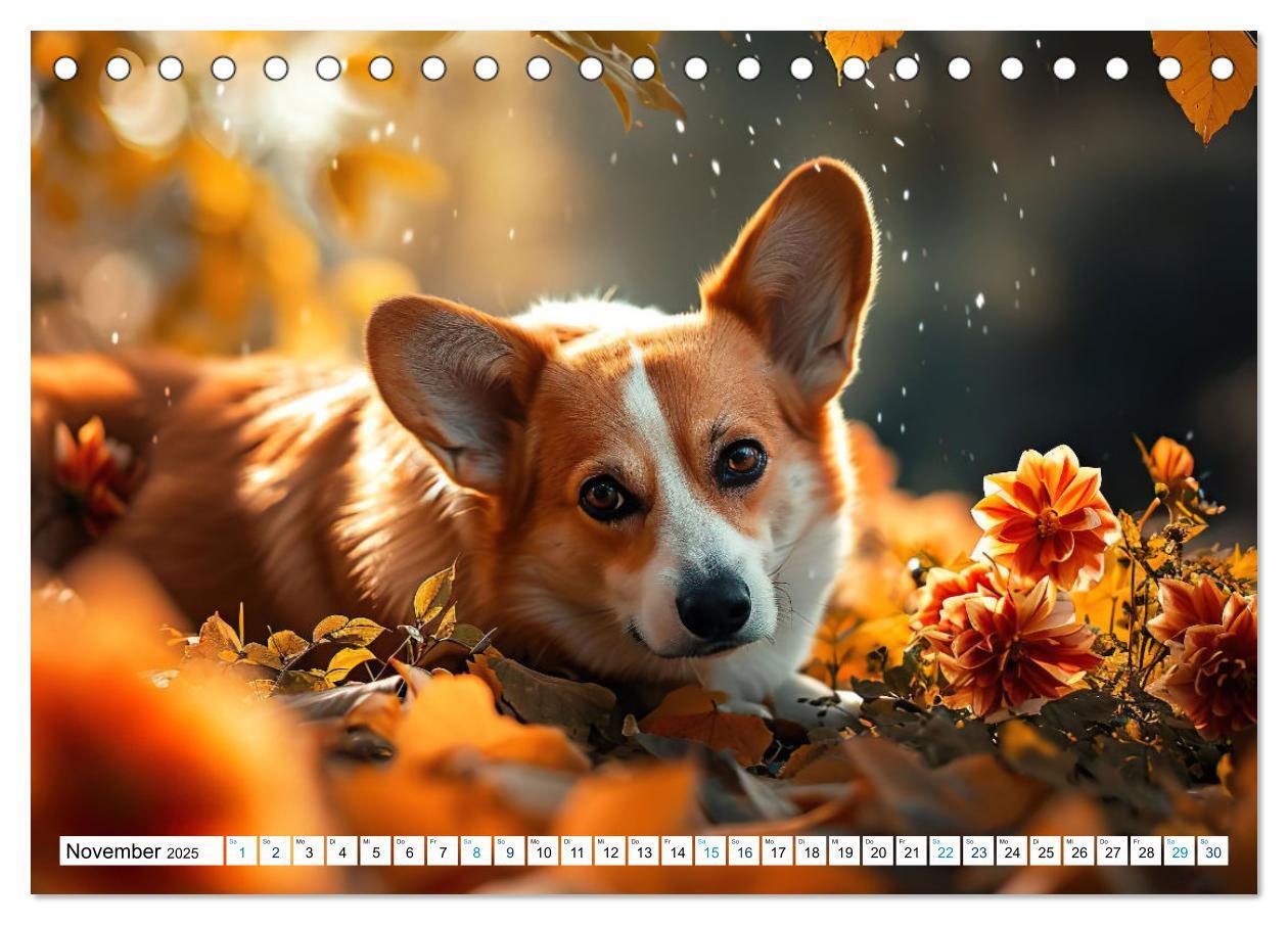 Bild: 9783383776137 | Happy Corgis (Tischkalender 2025 DIN A5 quer), CALVENDO Monatskalender