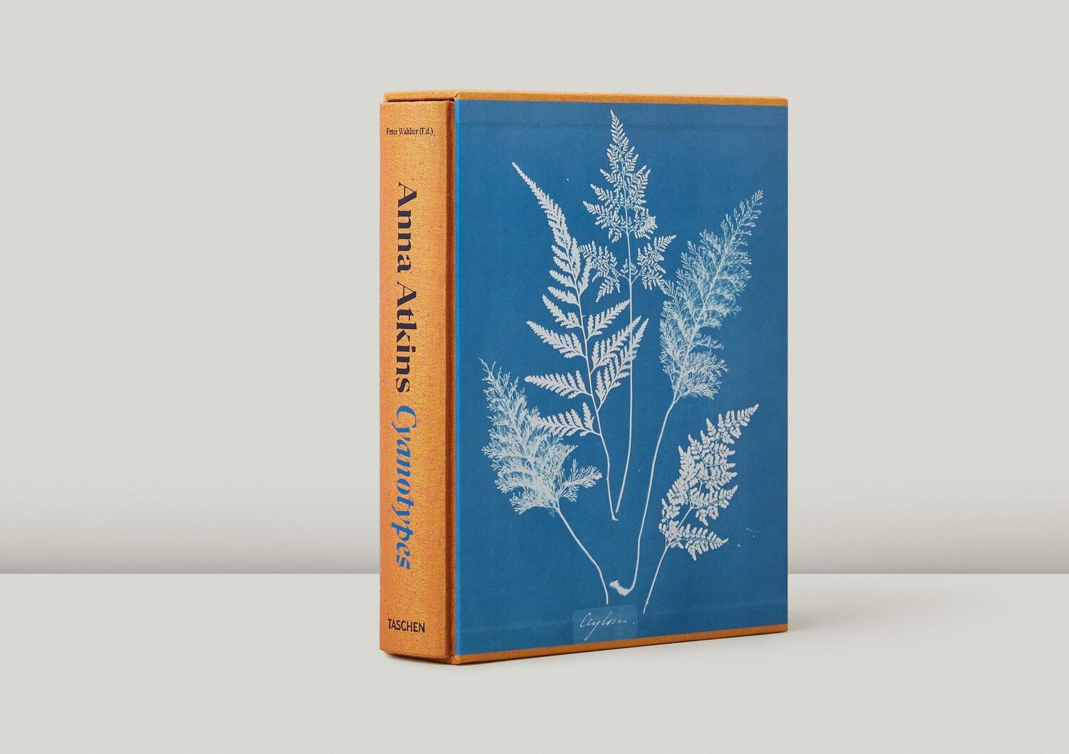 Bild: 9783836596039 | Anna Atkins. Cyanotypes | Peter Walther | Buch | Schuber | 660 S.