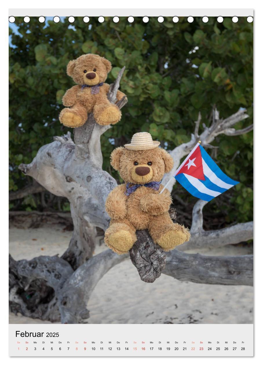 Bild: 9783435934119 | Travelling Teddy auf Welt-Tour (Tischkalender 2025 DIN A5 hoch),...