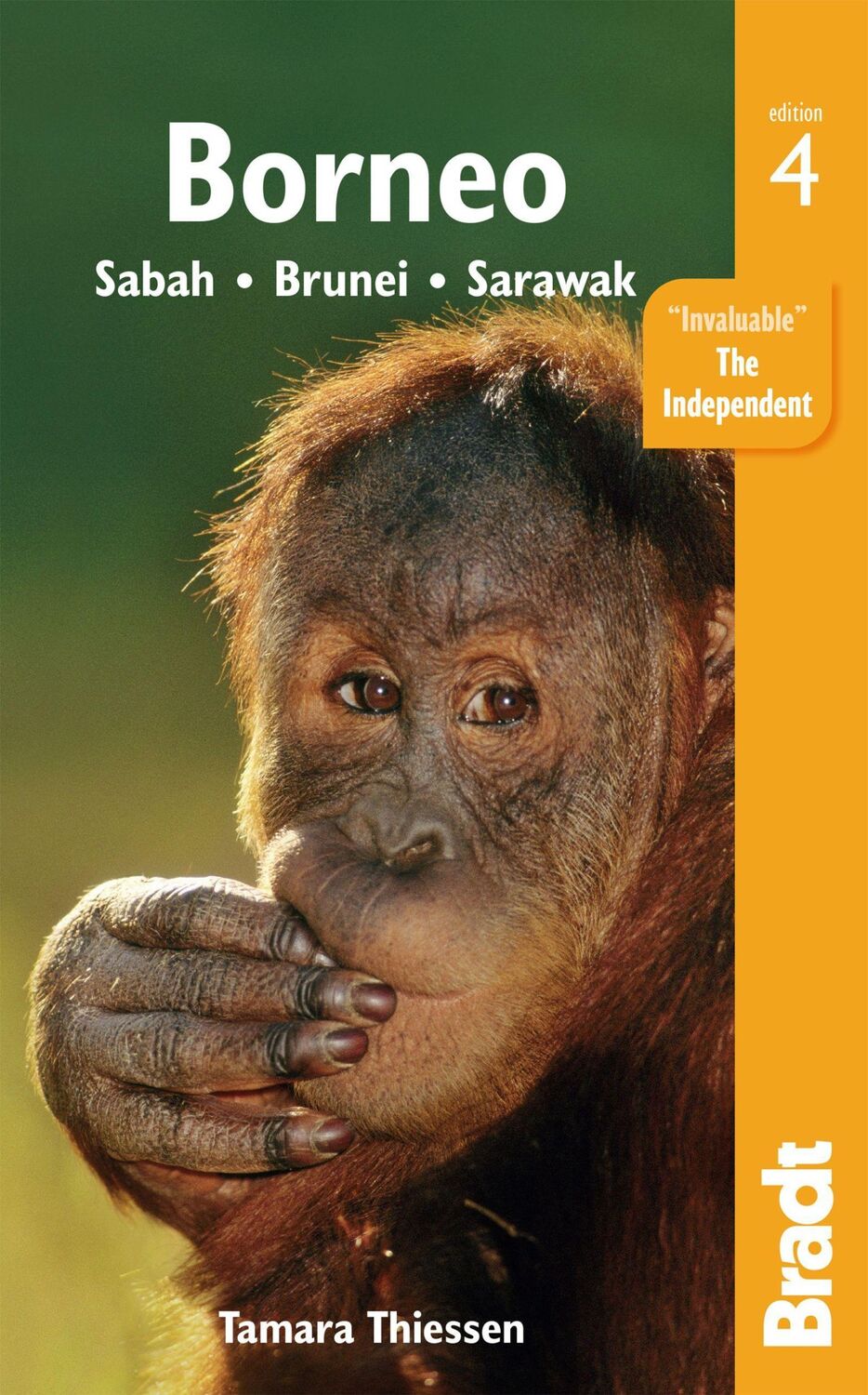 Cover: 9781784774738 | Borneo | Tamara Thiessen | Taschenbuch | Kartoniert / Broschiert