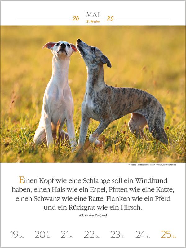 Bild: 9783731877271 | Literaturkalender Hunde 2025 | Verlag Korsch | Kalender | 54 S. | 2025