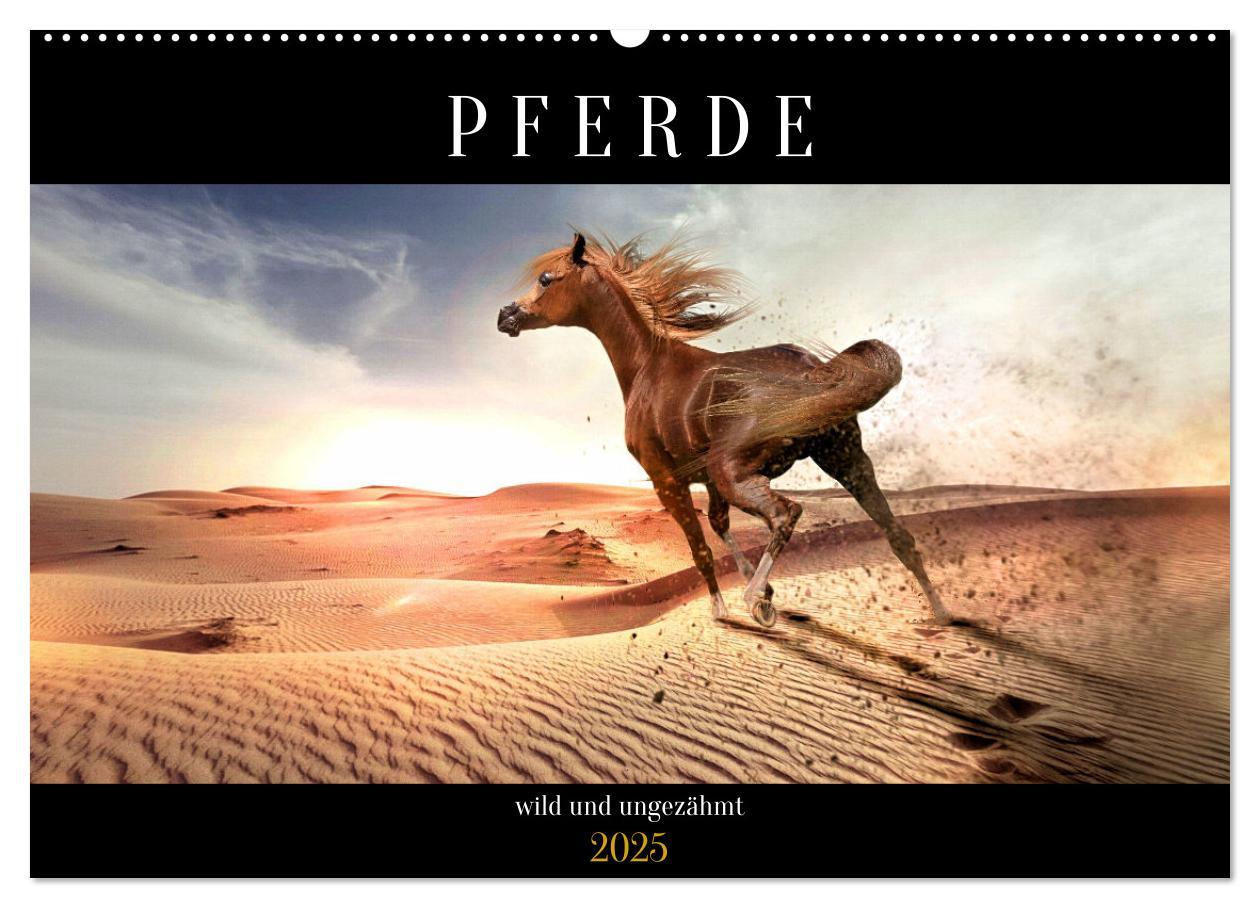 Cover: 9783383922107 | Pferde - wild und ungezähmt (Wandkalender 2025 DIN A2 quer),...