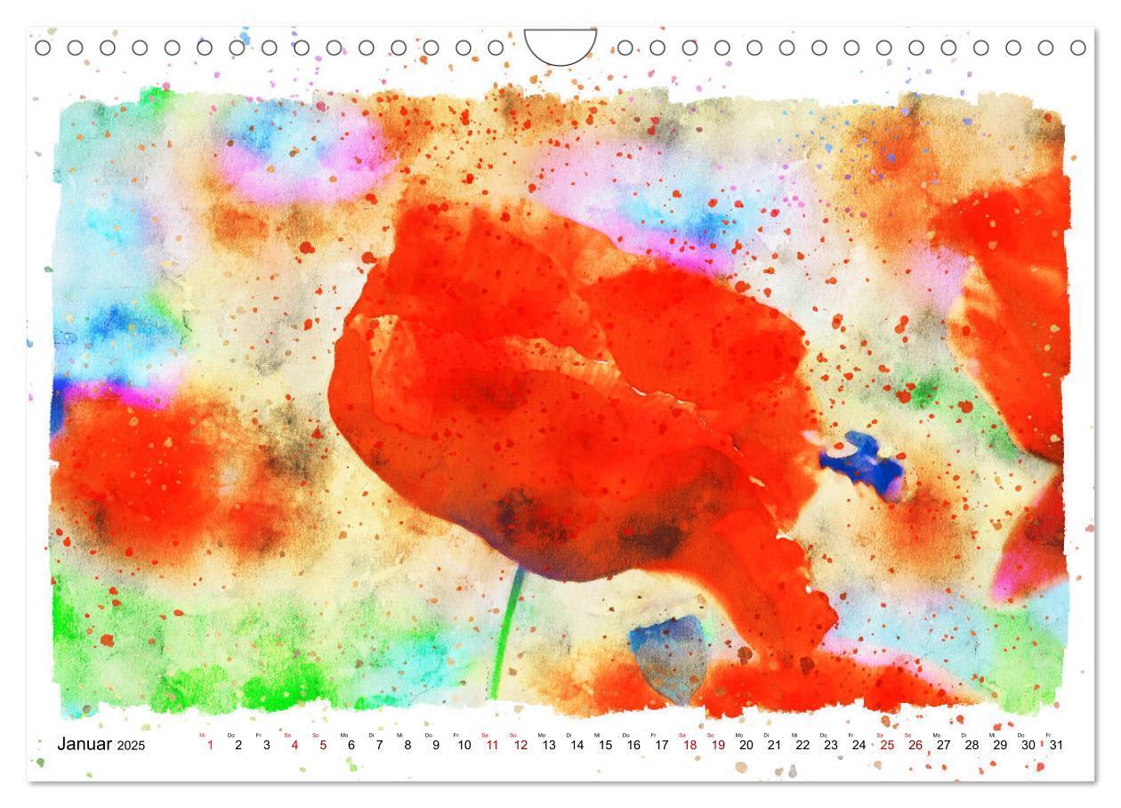 Bild: 9783435141241 | Mohnblüten in Aquarell (Wandkalender 2025 DIN A4 quer), CALVENDO...