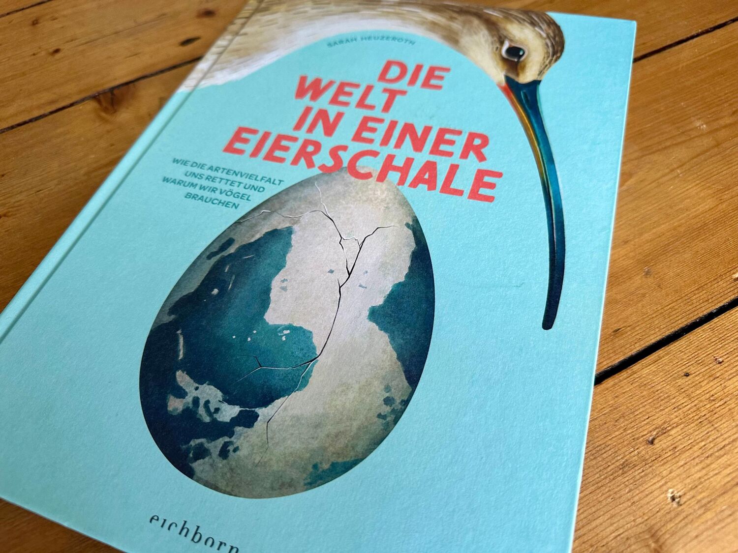 Bild: 9783847901693 | Die Welt in einer Eierschale | Sarah Heuzeroth | Buch | 112 S. | 2024