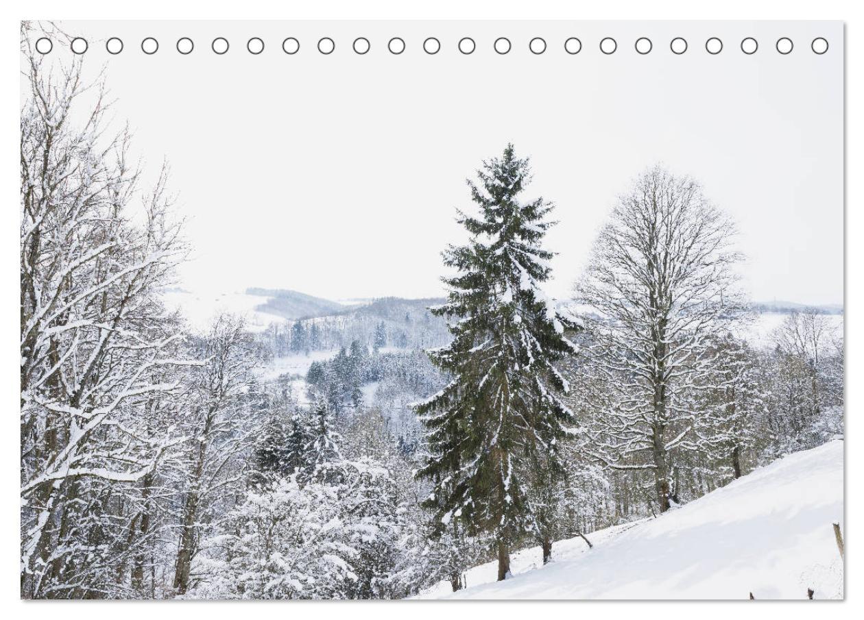 Bild: 9783435138456 | Eifel Sehnsucht (Tischkalender 2025 DIN A5 quer), CALVENDO...