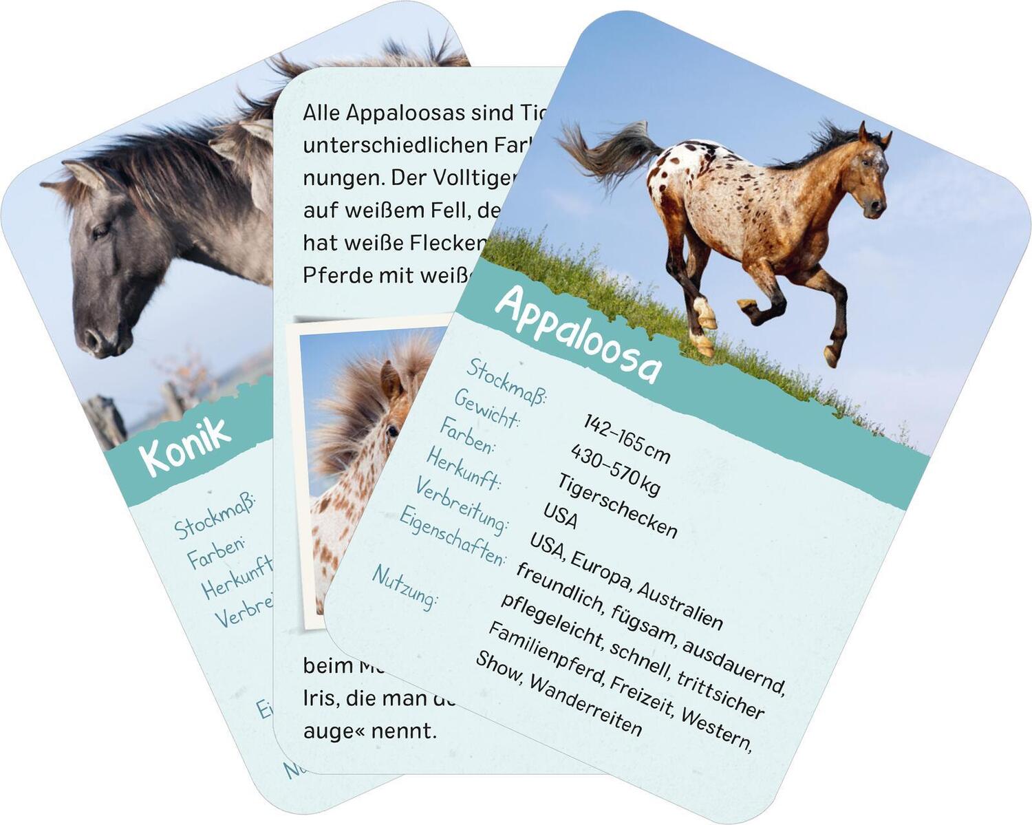 Bild: 9783845856582 | Naturforscher-Kids - Pferde &amp; Ponys | 50 Karten | Miriam Scholz | Buch