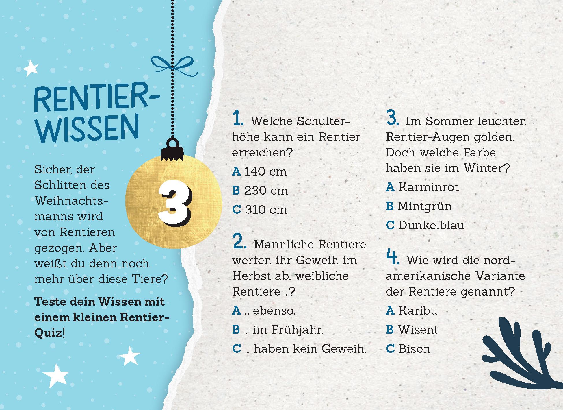 Bild: 9783625192749 | 24 Adventsrätsel Die perfekte Ablenkung vom Weihnachtsstress | Kiefer