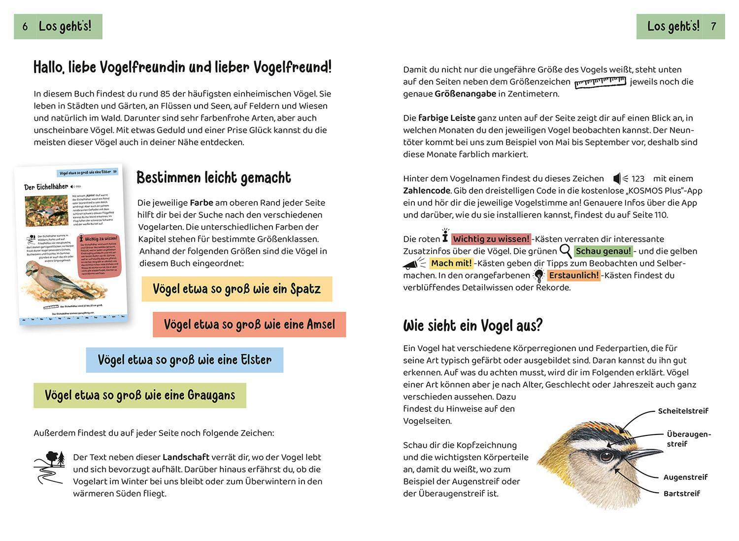 Bild: 9783440172445 | Was fliegt denn da? Kindernaturführer | Holger Haag | Taschenbuch