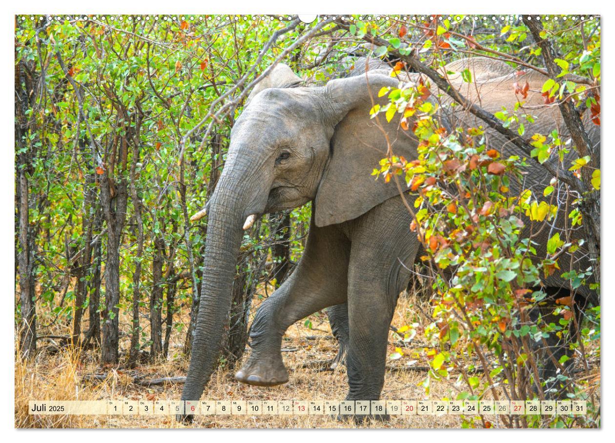 Bild: 9783435088362 | Eswatini ¿ Königreich im südlichen Afrika (hochwertiger Premium...