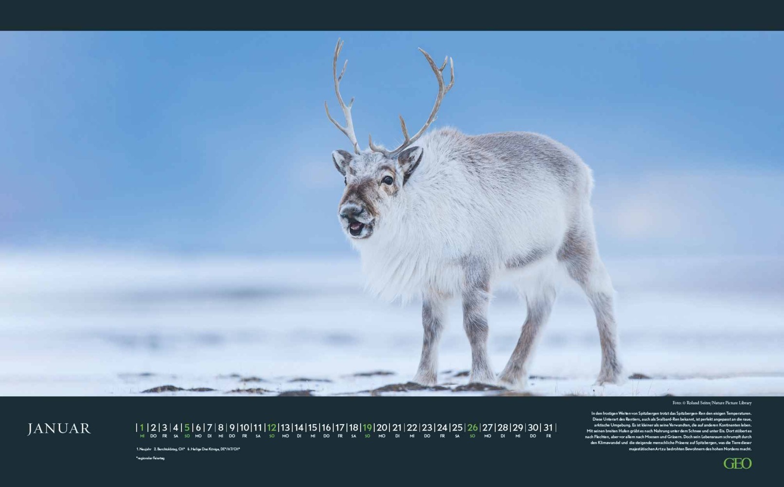 Bild: 4002725988645 | GEO - Bedrohte Tierwelt 2025 Wandkalender, 58x36cm, Posterkalender...