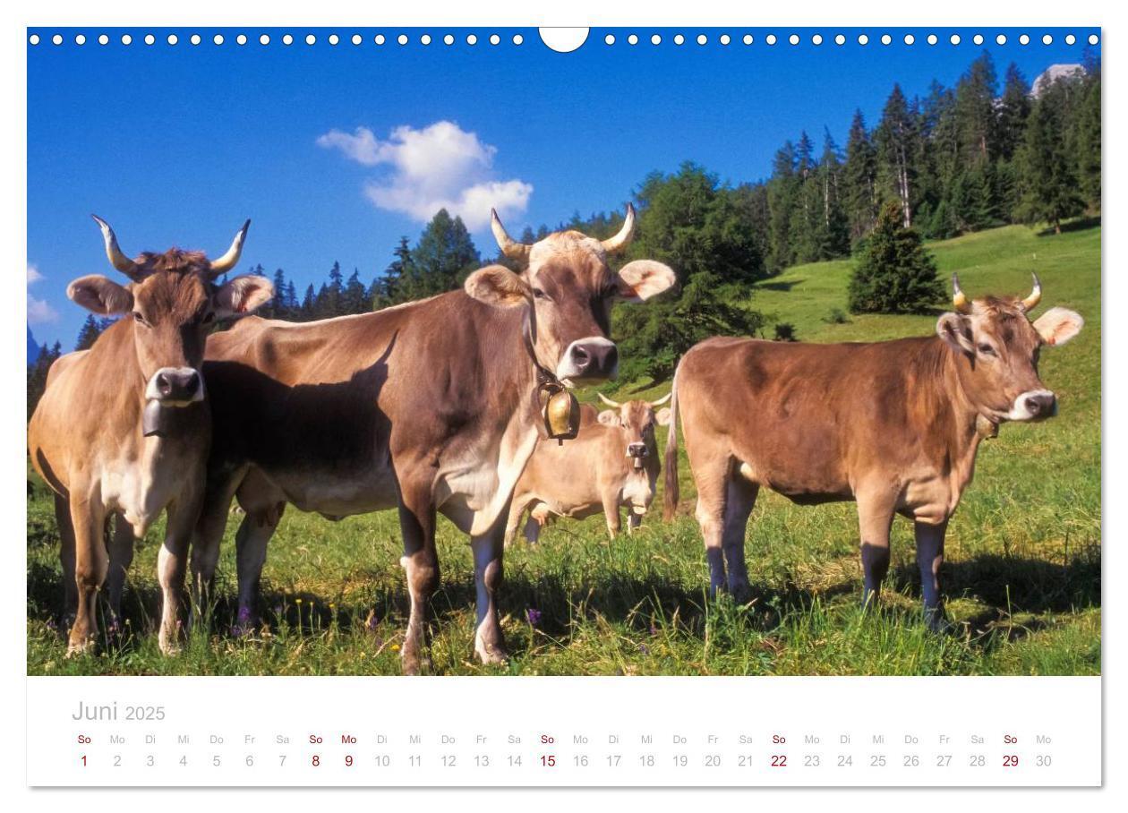 Bild: 9783435775705 | Graubünden Engadin 2025 (Wandkalender 2025 DIN A3 quer), CALVENDO...