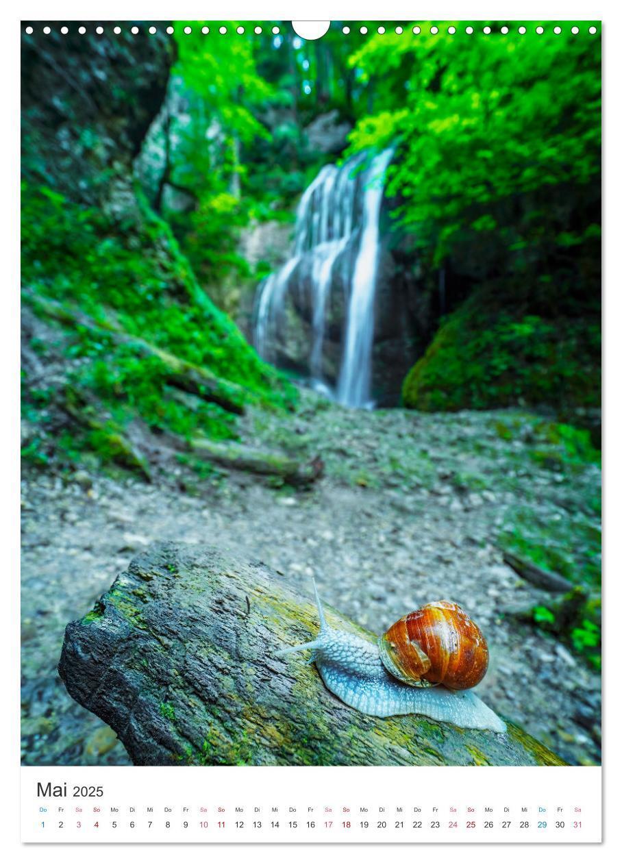 Bild: 9783435901029 | Allgäuer Wasserfälle (Wandkalender 2025 DIN A3 hoch), CALVENDO...