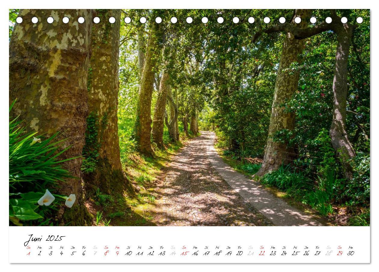 Bild: 9783435560653 | Madeira - ewiger Frühling (Tischkalender 2025 DIN A5 quer),...