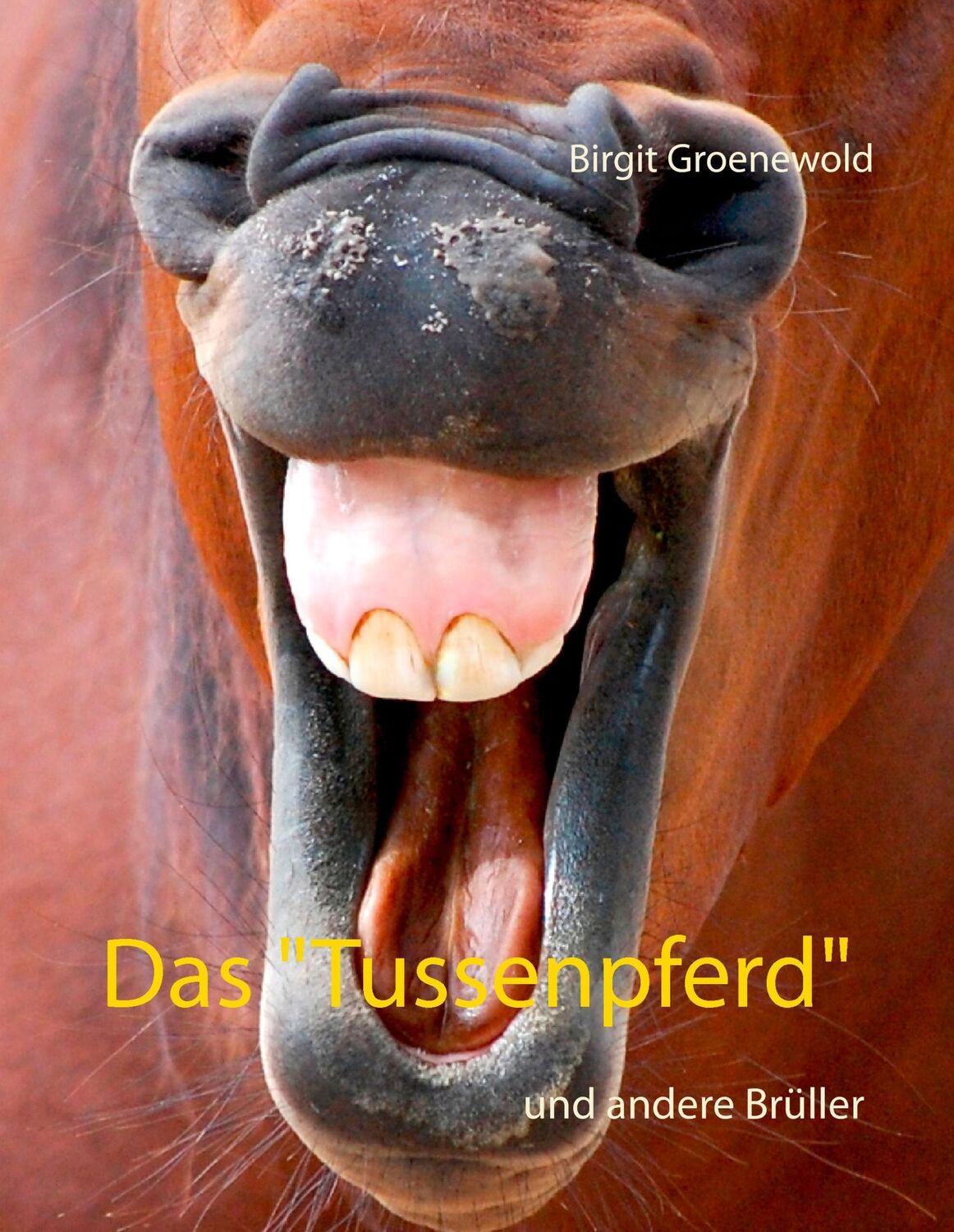 Cover: 9783741256059 | Das "Tussenpferd" | und andere Brüller | Birgit Groenewold | Buch